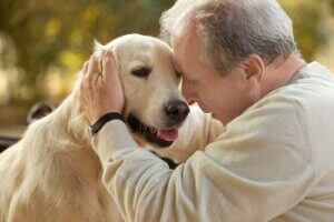 Dyreassisteret terapi for patienter med Alzheimers