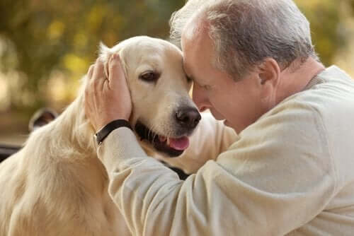 Dyreassisteret terapi for patienter med Alzheimers
