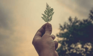 Dette er, hvad du kan gøre for at hjælpe under lockdown