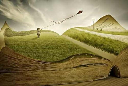 Dreng med en drage på et græstæppe i en bog
