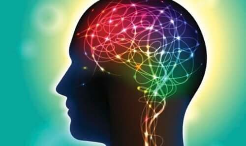 Lys i hjerne illustrerer evnen til at forme hjernen