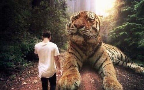 Mand foran stor tiger