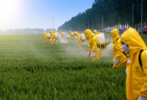 Pesticider har indvirkning på hjernen