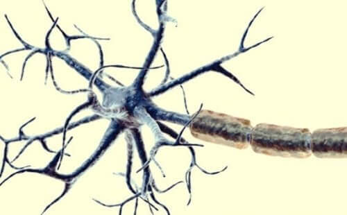 Illustration af smerte i centralnervesystemet