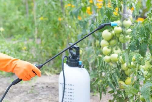 Der anvendes mange pesticider