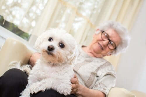 Ældre kvinde med hund på sit skød