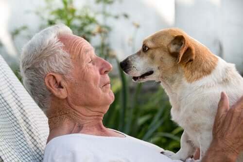 Ældre mand med hund