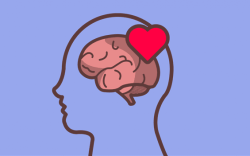 En illustration af forbindelsen mellem hjerte og hjerne