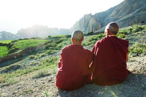 To munke, der nyder udsigt