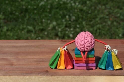 Neurovidenskab og forbrugerens hjerne