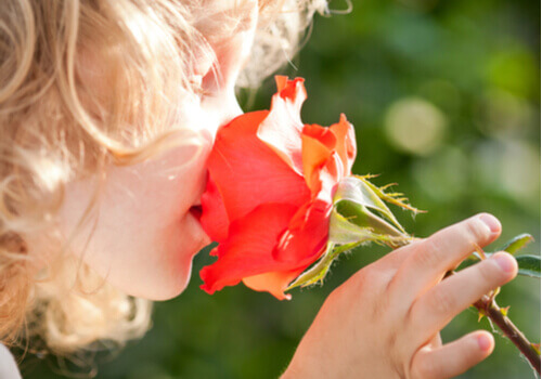 Barn, der dufter til en blomst