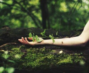 Hvis jeg tror på mig selv, vil jeg aldrig stoppe med at vokse