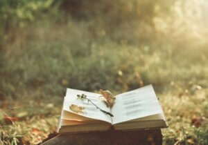 Magien ved poesi, og hvordan det kan lindre smerte