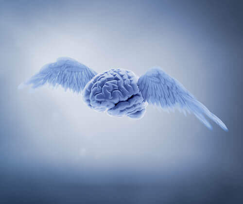 Hjerne med vinger
