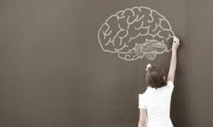 Hvorfor anvender psykologer WISC testen?