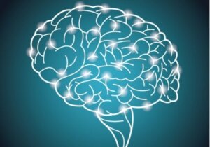 Verdens største eksperiment om intelligens