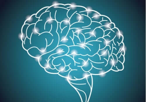 Verdens største eksperiment om intelligens