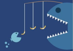 Sådan kan man spotte forbrugervildledelse