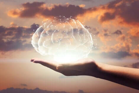 Hjerne i hånd