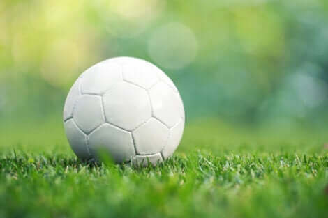 Hvid foldbold på græs