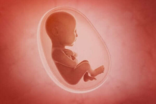 Den sensoriske udvikling hos ufødte og nyfødte babyer