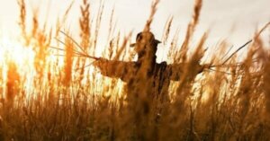 Stråmandsargumentet til problemløsning