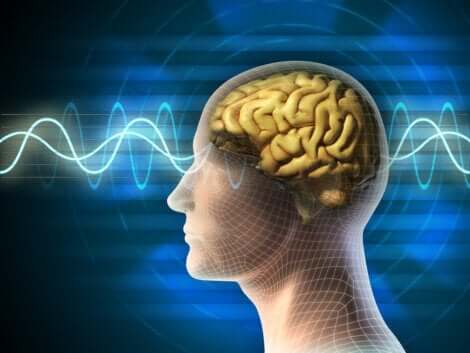 Neuropsykologi illustreres af hjerne med bølger igennem