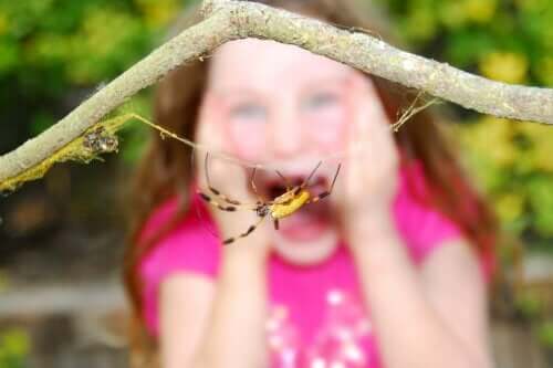 Et barn, der er bange for en edderkop