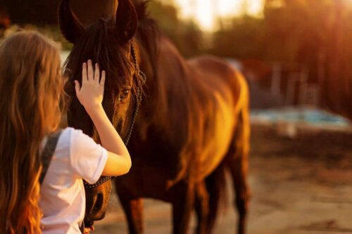 Pige, der aer en hest