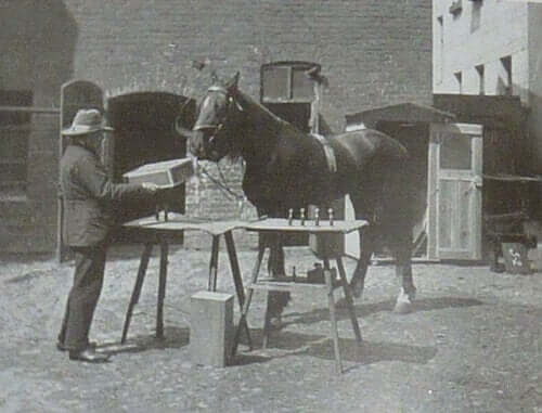 Sort-hvid-billede af mand og hest