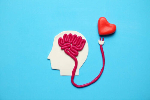 Forbindelse mellem hjerne og hjerte