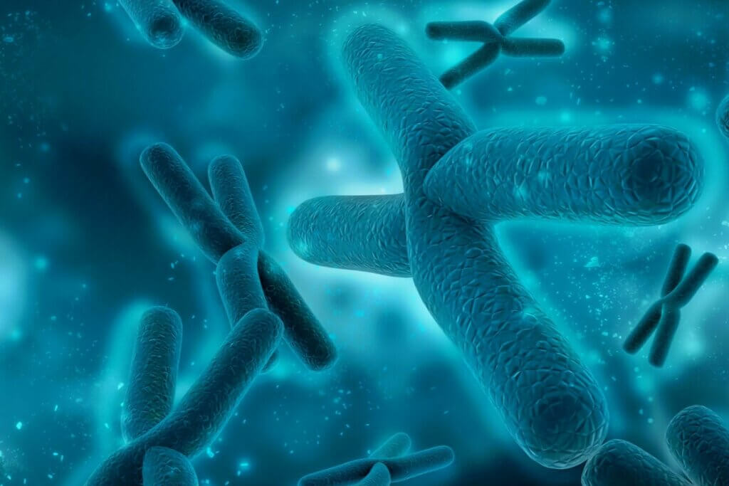 Illustration af kromosomer