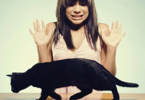 Kvinde, der er bange for en kat