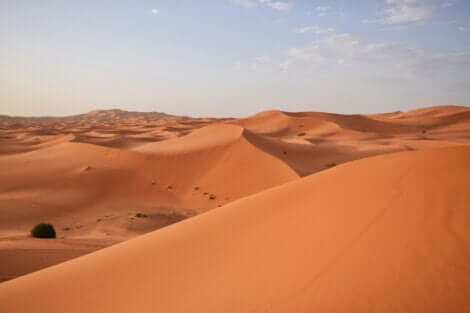 Sandbakker i ørken