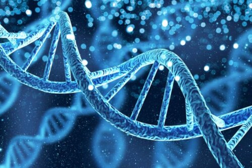 Illustration af DNA