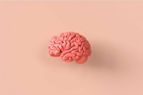 Neuroetik, et fascinerende kig på hjernen og moralsk adfærd