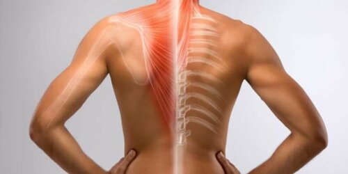 Illustration af en persons ryg