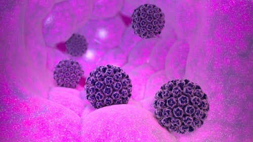 Karakteristika for humant papillomavirus