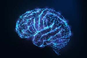 Androgyni i hjernen: Hvad er det, og hvad er fordelene ved det?