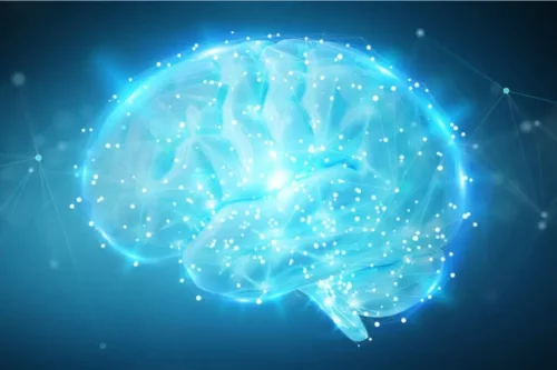 Hjerne lyser og symboliserer androgyni i hjernen