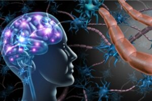 Forskellene mellem multipel sklerose og ALS