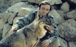 Félix Rodríguez de la Fuente, ekstraordinær miljøforkæmper på tv