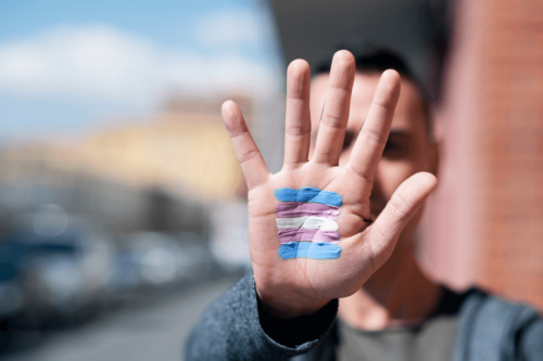 Person har malet flag for transkøn på sin hånd