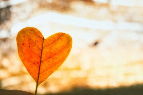 Blad formet som et hjerte