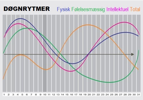 Illustration af døgnrytmer