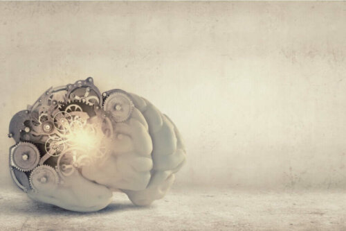 Tandhjul i hjerne