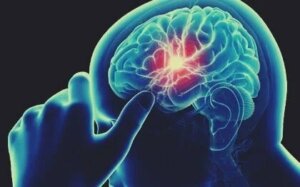 Mangel på B12-vitamin kan forårsage kognitiv svækkelse