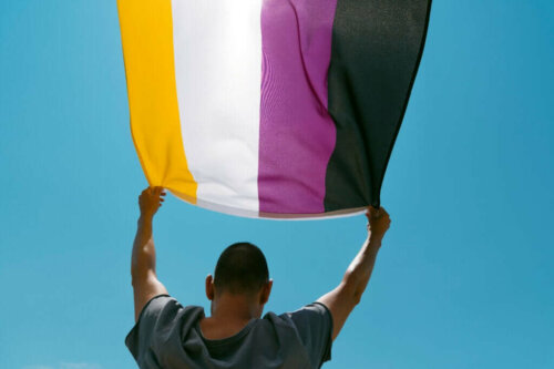 Flag, der symboliserer forskellige typer af kønsidentitet