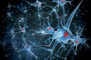 Vigtigheden af neural beskæring