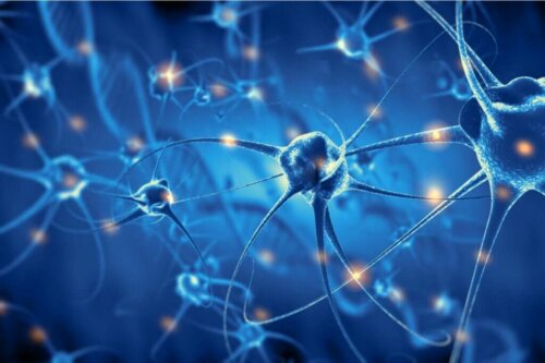 Neuroner i hjernen